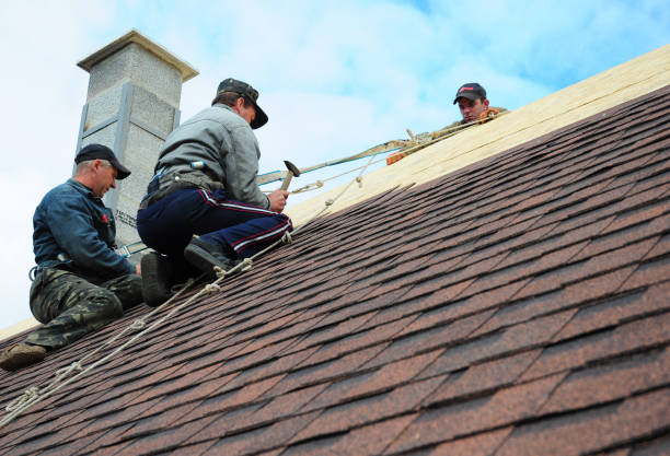 Best New Roof Installation  in Laurel, VA